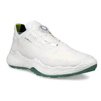 Sepatu Golf Pria ECCO BIOM H5 LEATHER (ECG138024007)
