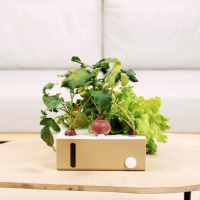 Verda Garden Modular種植箱 (淺啡色) | 水耕機種菜機種植機