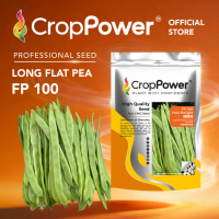 Fast-Acting (500 GRAM) Dutch Flat Pea Seeds Hola Delight FP100 CROP POWER Long Flat Pea Seed