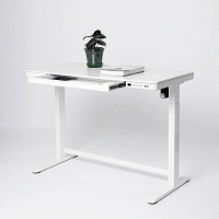 【Flexispot】快裝型二節式電動升降桌 120*60cm桌組(電動升降桌)