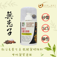 皂皂果 - 無患子生薑洗髮精 300mL
