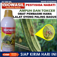 (PROMO COD) Obat Hama lalat oyong Paling Ampuh Sudah terbukti mampu untuk mencegah dan membasmi were