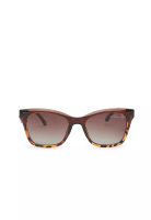 Sara Smith Unisex Polarized Cat-Eye Sunglasses (太陽眼鏡) - 棕色