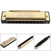 10 Holes 20 Tone C Key Matte Gold Harmonica Blues Harp Mouth Organ Stainless Steel Musical Instrument for Beginner