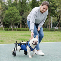 寵物狗康復助行輪椅車 後肢輔助代步 S碼