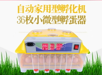 孵化機全自動小型家用型雞蛋鴨鵝鵪鶉蛋孵化器36枚96枚孵化箱 MKS免運 清涼一夏钜惠