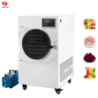 DZJX Ce 4Kg 5Kg 6Kg Small Lab Lyophilizer Vacuum Freeze Dryer Mini Drying Machine Trade Desk Type Home Freeze Dry Equipment