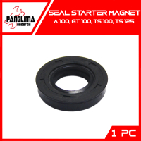 Seal Starter Magnet A 100-A100/GT 100/TS 100/TS 125 Sil Kick Stater