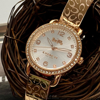 點數9%★COACH手錶,編號CH00137,28mm玫瑰金圓形精鋼錶殼,白金色簡約, 中三針顯示, 鑽圈錶面,玫瑰金色精鋼錶帶款,稀有手鐲腕錶【APP下單享9%點數上限5000點】