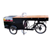 3 Wheel Food Bike Takeaway Reverse Riding Mobile Sale Trike for Adults Pedal Tricycles Snack Electric Bicycle