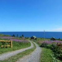 住宿 Les Chalets Brise-de-Mer Sainte-Thérèse-de-Gaspé