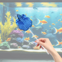 Tongkat Latihan Ikan Betta, Mudah Alih, Aksesori Tangki Ikan, Hiasan Akuarium, untuk Kit Betta, Beka