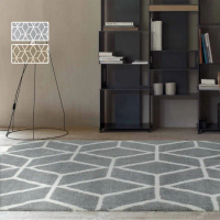 【范登伯格】比利時 PLAY簡約地毯-水晶(200x290cm/共兩色)