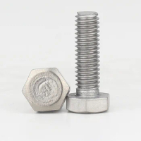 TA2 Titanium External Hexagon Head Screw Titanium Bolt Gr2 Pure Titanium Screw M12 M14 M16