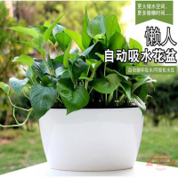 懶人花盆加大號橢圓免澆水自動吸水綠蘿多肉吊蘭盆代發亞馬遜跨境