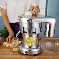 Portable Commercial Stainless Steel Orange Fruit Juicer Ginger Squeezer Pear Espremedor Electrical Juice Juicing Machine 110V