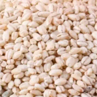 naatu barley arisi organic, natural tasty Food (not same with the chinese shops one)