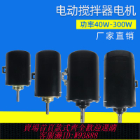 {臺灣公司貨 可打統編}電動攪拌器專用電機實驗室機械攪拌器馬達JJ-1攪拌器永磁直流電機