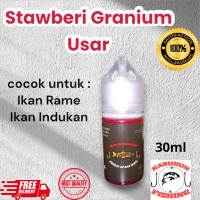 Essen Strawberi Granium Usar / perangsang ikan mas