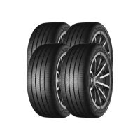 【GOODYEAR 固特異】輪胎 固特異 ACT-2454517吋_四入組_245/45/17(車麗屋)