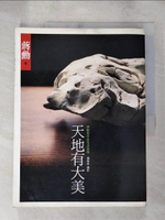【書寶二手書T6／藝術_J2D】天地有大美_蔣勳