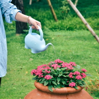 家用園藝工具兒童專用可愛卡通小象造型澆花壺噴壺 澆水壺灑水壺