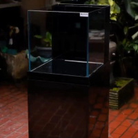 PO Aaquarium 14 Hari Full Set Aquarium & Kabinet Tambahan Mayin Rugby