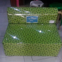 Single Uratex Foam Neo Sofa bed with throw pillow