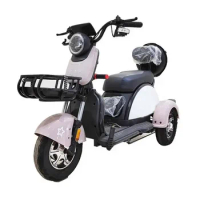 Easy Open Automobile Electric Tricycles With Cover For Adult