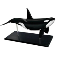 4D Vision Orca Whale Anatomy Model Skeleton Medical Puzzle Assembling Toy Teaching Aid Laboratory Education Equipment