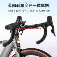 鳳凰高端電動助力公路車鋰電電動自行車男女通用鋁合金成人賽車