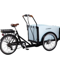 Hot sale bicycle manufacturer Front box 3 wheel China cheap electric family cargo kids bike