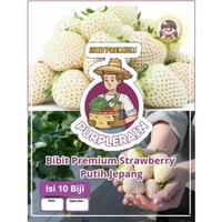 Bibit Unggul Strawberry Putih Jepang | Benih Strawberry Putih | Stroberi