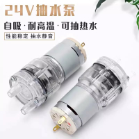 24V DC ทนต่ออุณหภูมิสูง 100 ปั๊มน้ำขนาดเล็กองศา, ตู้น้ำ, ปั๊ม self-priming, หม้อต้มน้ำชา, มอเตอร์ปั๊