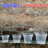 花盆 透明洋蘭盤吊盆蘭硬植杯透明杯石斛卡蘭兜蘭瀝水透氣控根盆