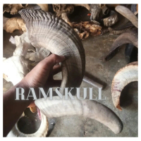 BAHAN KERAJIANAN BAHAN MEMBUAT SHOFAR