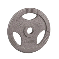 【Fitek】奧林匹克槓片 15公斤2片 手抓孔槓片(15KG槓片兩片 2英吋 大孔鑄鐵槓片 舉重 重訓奧片)