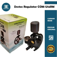 DESTEC Gas Regulator COM 201 - M