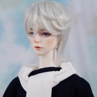 BJD doll wig suitable for 1/3 size bjd boy wig wig soft silk slightly curly wolf tail hair doll accessories (four colors)