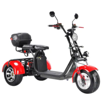 Best Selling Fat Tire Electric Scooter 2 Wheel Tricycles For Adult