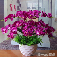 蝴蝶蘭花藝盆栽仿真干花套裝飾假花絹花客廳餐桌擺設擺放花卉 交換禮物