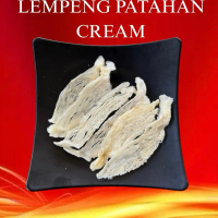 SARANG BURUNG WALET LEMPENG PATAHAN CREAM