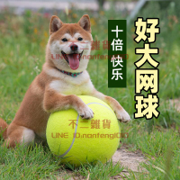 狗狗玩具球快樂球超大網球24cm柴犬柯基法斗逗狗解悶寵物用品【不二雜貨】