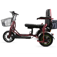Hot selling brushless motor adult tricycle and electric tricycle for adults and kits transportcustom