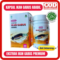 KAPSUL IKAN GABUS ISI 60 - MINYAK IKAN GABUS EKSTRAK IKAN GABUS IKAN KUTUK