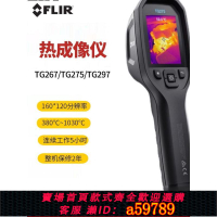 【台灣公司 可打統編】菲力爾FLIR TG267/TG275/TG297紅外熱像儀C5工業紅外成像測溫儀