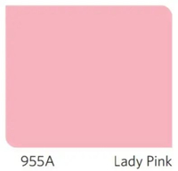 [5 KG] CAT TEMBOK INTERIOR NIPPON PAINT VINILEX BERBAGAI WARNA Lady Pink 955A