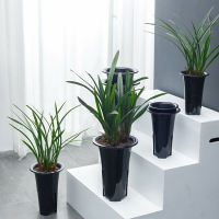控根型蘭花盆景盆家用室內外黑色加厚透氣花卉專用盆吊蘭塑料花盆