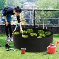 Pot Tanaman Besar Minimalis Jumbo