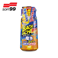 SOFT99 洗車＋鍍膜洗車精 C430